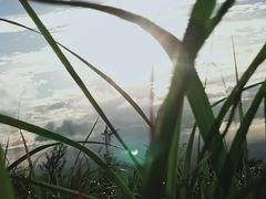 -东白山