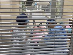 -瑞尔齿科(东方广场诊所)