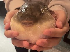 -永安鱼庄·镇江菜(东吴路店)