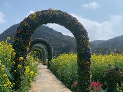 -广州市石门国家森林公园
