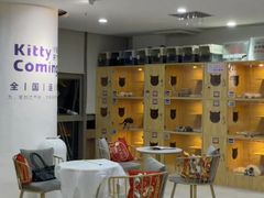 -小猫来了猫舍(福田店)