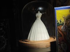 -雪灵魔法世界SHELLY’S TAROT(大良桂畔里店)