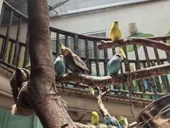 -正佳雨林生态植物园