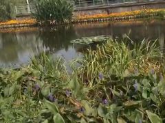 -西湖风景区-江洋畈生态公园