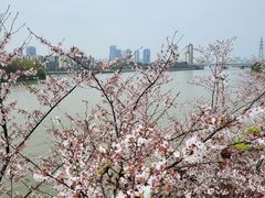 -澹台湖公园