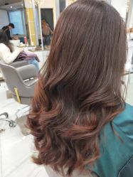 -潘多拉Hairsalon