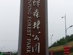 -铁山坪森林公园