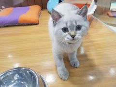 -龟与熊猫宠物公园(南坪店)