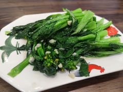 -长城东北菜(新港西路店)