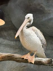 -Zoolung Zoolung动物主题公园(海信广场店)