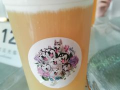 -Husky Go! 哈士奇体验馆·宠物咖啡厅狗咖