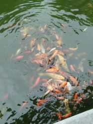 -珍珠泉水上世界