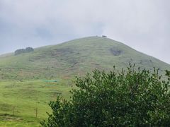 -大姆山草场