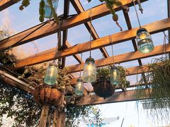 -The Grounds of Alexandria