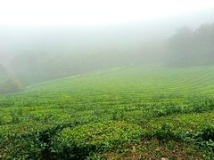 -敬亭山风景名胜区