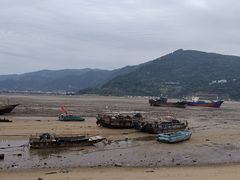 -北岐滩涂