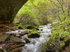 -五女峰国家森林公园