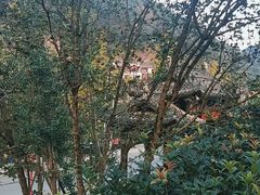 -楠柏弯休闲山庄(梨花溪店)