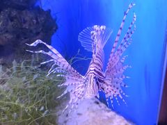 -多彩贵州城极地海洋世界