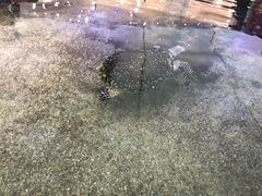 -鸿通城购物中心