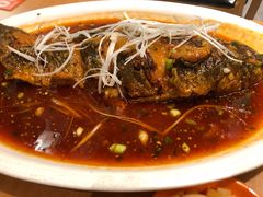 糖醋脆皮鱼-曾牛肉
