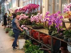 -双季花艺园艺市场(浦东店)