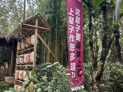 -深业半汤御泉庄温泉