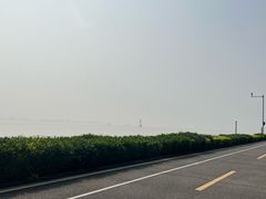 -海鸥岛