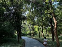 -东湖落雁景区