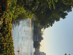 -荔湾湖公园