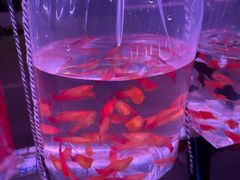 -华声天桥民俗文化园