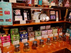-布兰兔的植物庄园(杭州南宋御街店)