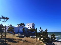 -养马岛旅游度假区