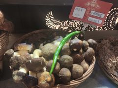 -滇铺子·云南特色菜·第九届野生菌美食节(东风东路c86店)