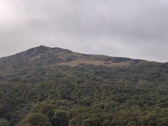 -大姆山草场