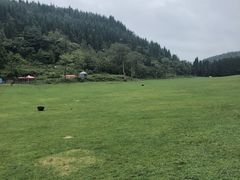 -武陵山森林公园