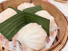 招牌虾饺妹-虾饺妹·酒家(海珠广场店)