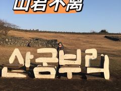 -济州森林小火车生态公园