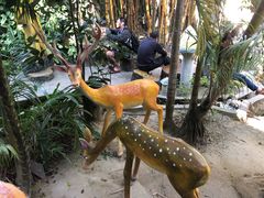 -疯狂屋