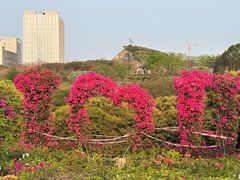 -东莞植物园