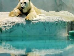 -珠海长隆海洋王国