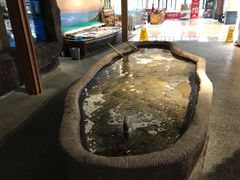 -郑庄脂渣海鲜楼(九水路店)