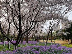 -白塘生态植物园