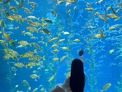 -南昌融创海世界