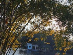 -晓港公园