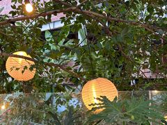 -云里小坐·小院里·团建·宴请·下午茶(三圣乡店)