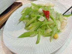 -丁老爷子苏香圆