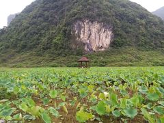 -靖西鹅泉风景区