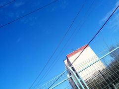 -新疆天山野生动物园