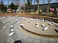 -南宫五洲植物乐园